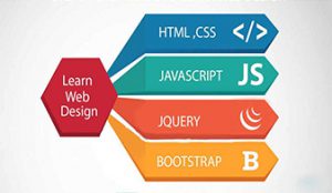 Android ASP DOT Net SEO Web designing Php Python Training
