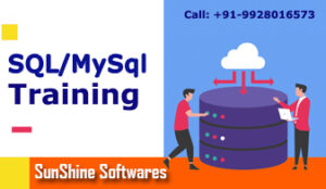 Android ASP DOT Net SEO Web designing Php Python Training